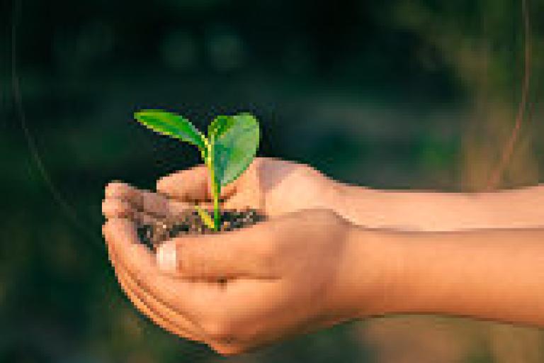 Seeds of Hope