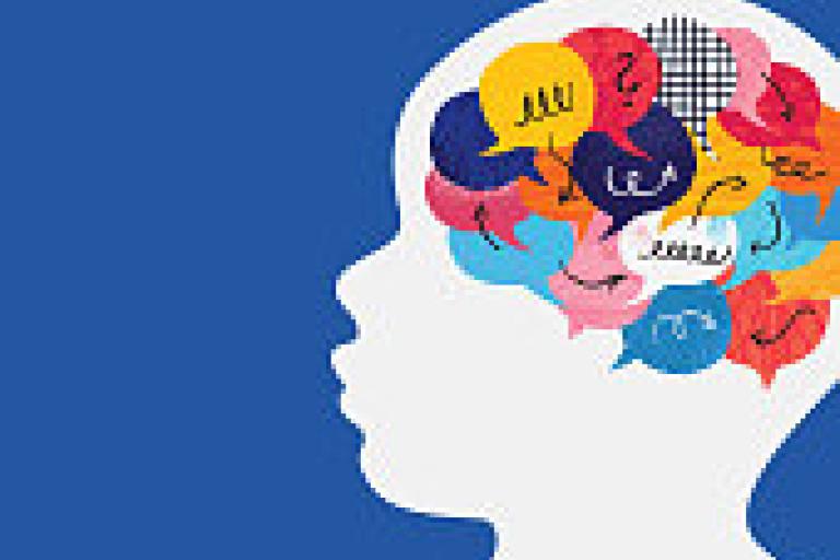 Brain Development