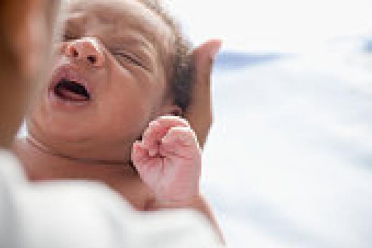 Loss & Littles Series : Development & Loss in the First Year of Life ...