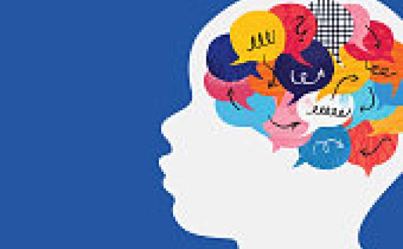 Brain Development